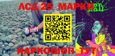 гидра Бердск