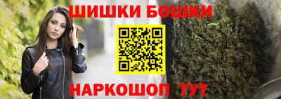 гидра Бердск