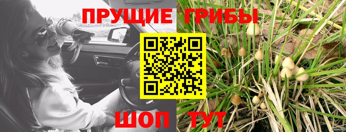 Псилоцибиновые грибы прущие грибы  Вход с VPN  продажа наркотиков  Городец  Псилоцибиновые грибы ЛСД 